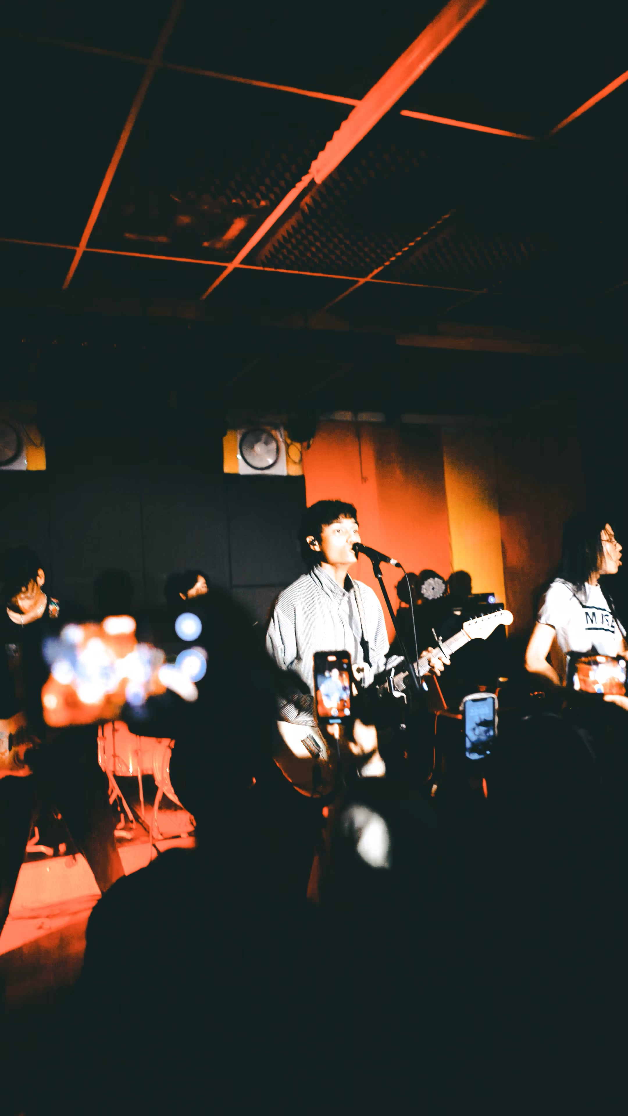 Video: Snip Midnight